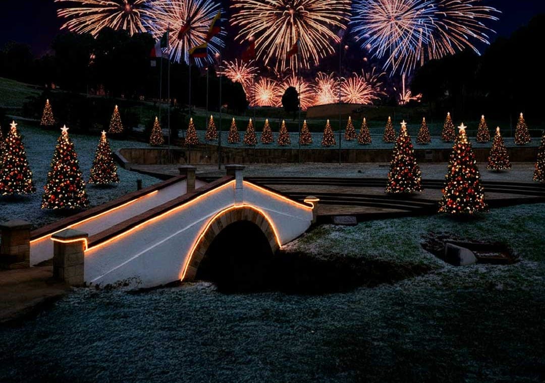 Puente iluminado entre árboles de Navidad