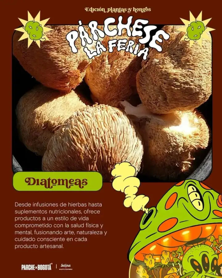 Expositores · Hongos y Cannabis Vol. 2 · foto 3