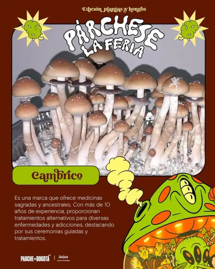 Expositores · Hongos y Cannabis Vol. 2 · foto 8