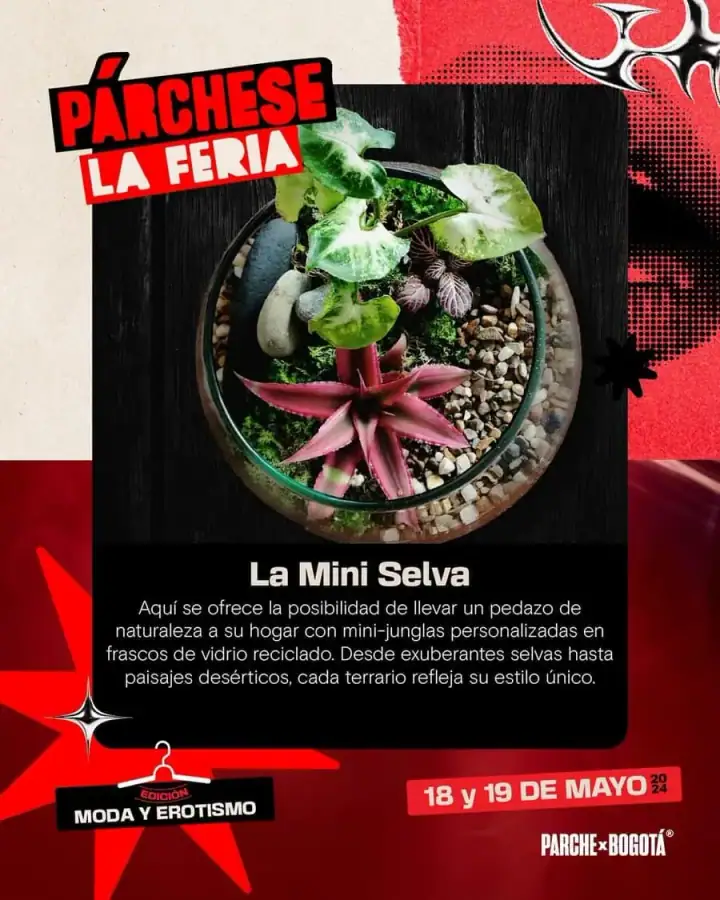 Expositores · Moda y Erotismo · foto 10