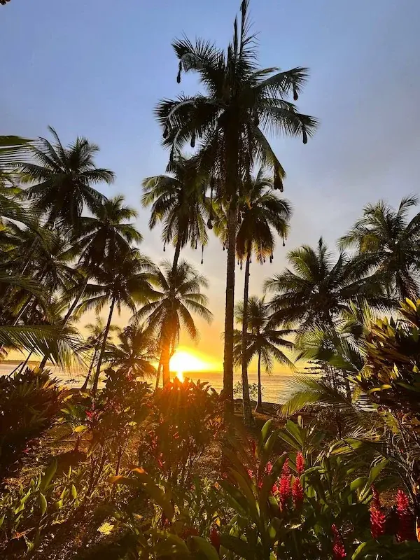 Nuquí, Chocó: dónde queda, qué hacer y guía completa de viaje al Pacífico