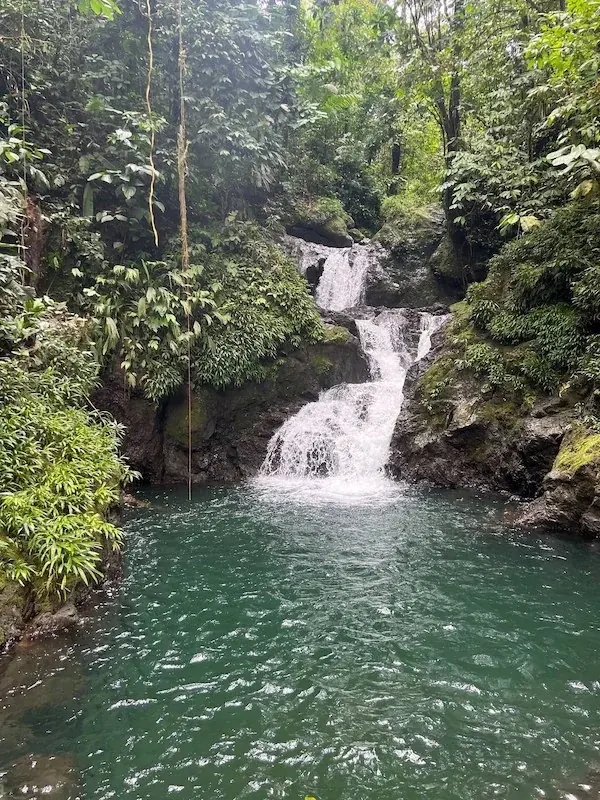 Cascada en la selva de Nuquí