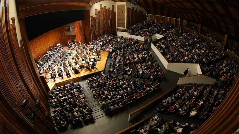 Música en vivo gratis en Bogotá: Filarmónica, Media Torta y Rutas 24/7