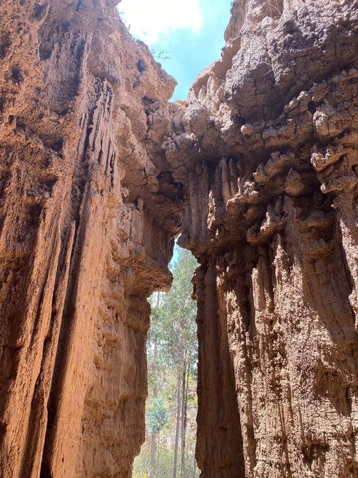 Desierto de Checua, Nemocón