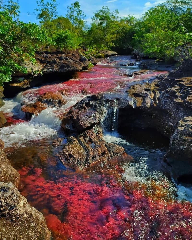 100 sitios y paisajes de Colombia: los 15 que no se puede perder