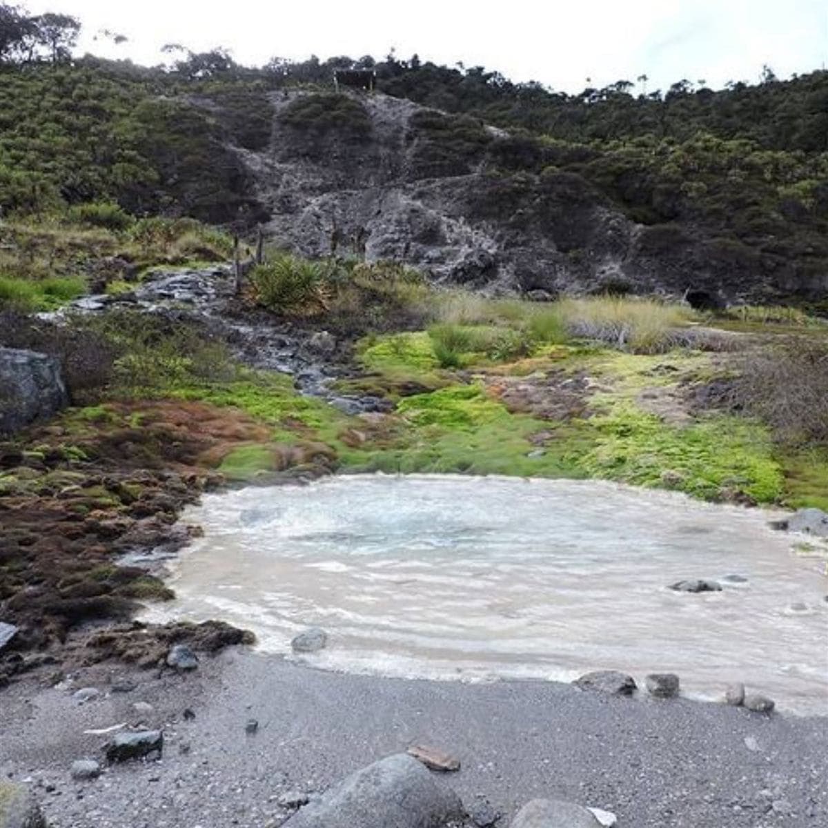 Termales San Juan, Puracé (Cauca)
